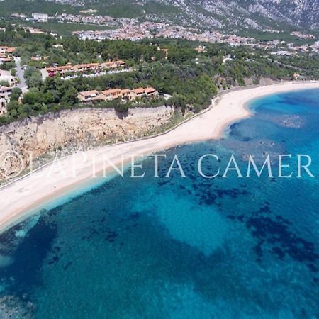 Casa Vacanza Gelsomino Cala Gonone Kültér fotó