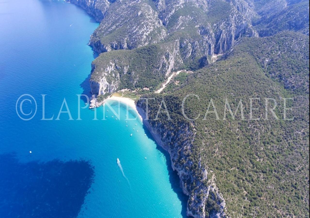 Casa Vacanza Gelsomino Cala Gonone Kültér fotó